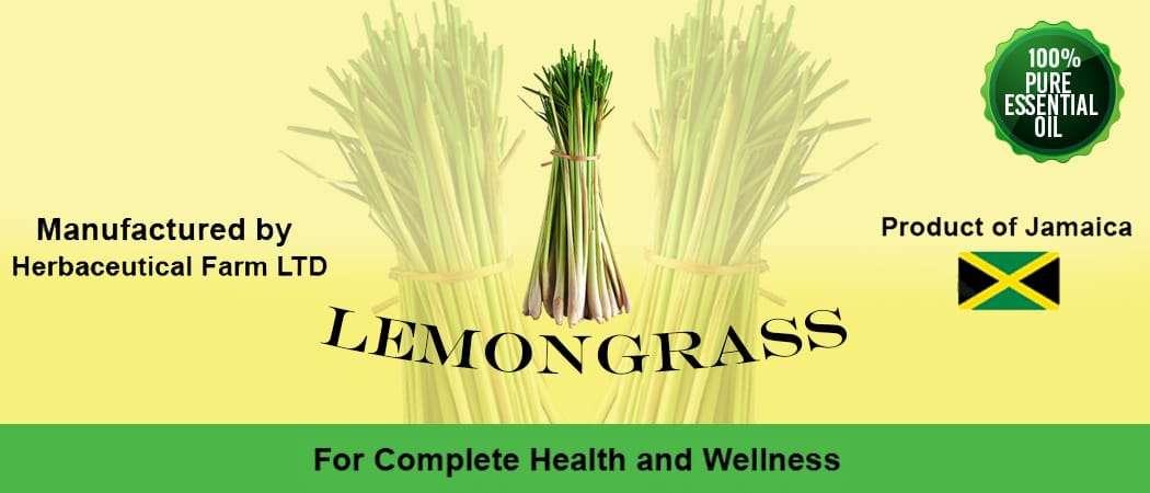 Lemongrass Essential Oil 20ml